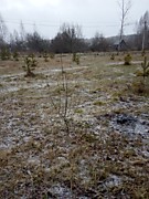 Земельные участки